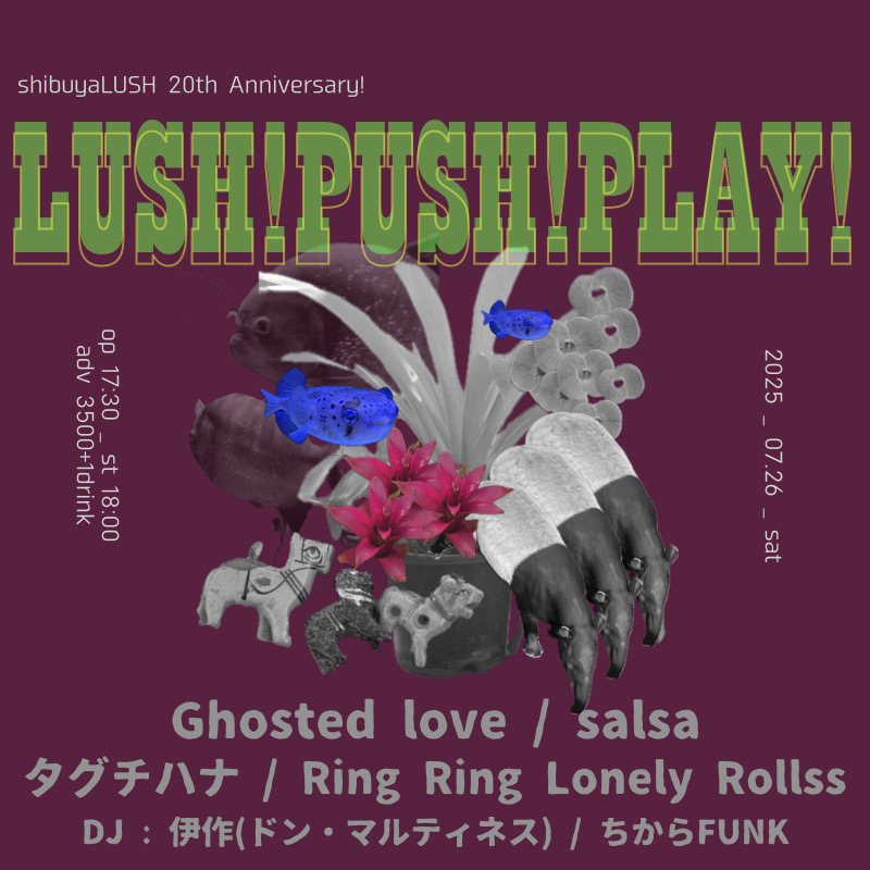 国内盤 三宅伸治/REQUEST WEDNESDAY SOLO LIVE Gv3T3vra4AAiQVD.jpg